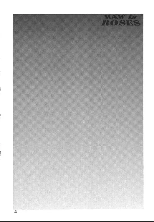 [Don Shigeru] RAW is ROSES Fhentai - Page 4
