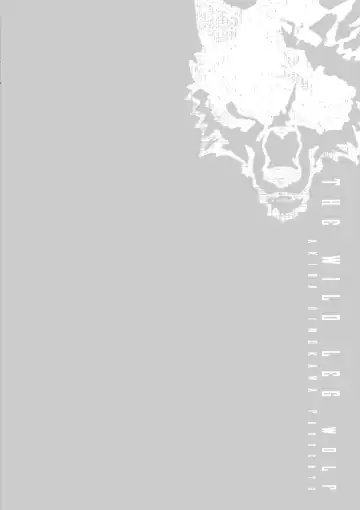 [Himekawa Akira] THE WILD LEG wolf Fhentai - Page 112