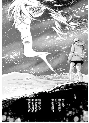 [Himekawa Akira] THE WILD LEG wolf Fhentai - Page 124