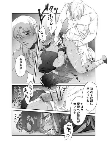 [Meido Kimera] Daini ouji dorei ochi Fhentai - Page 31