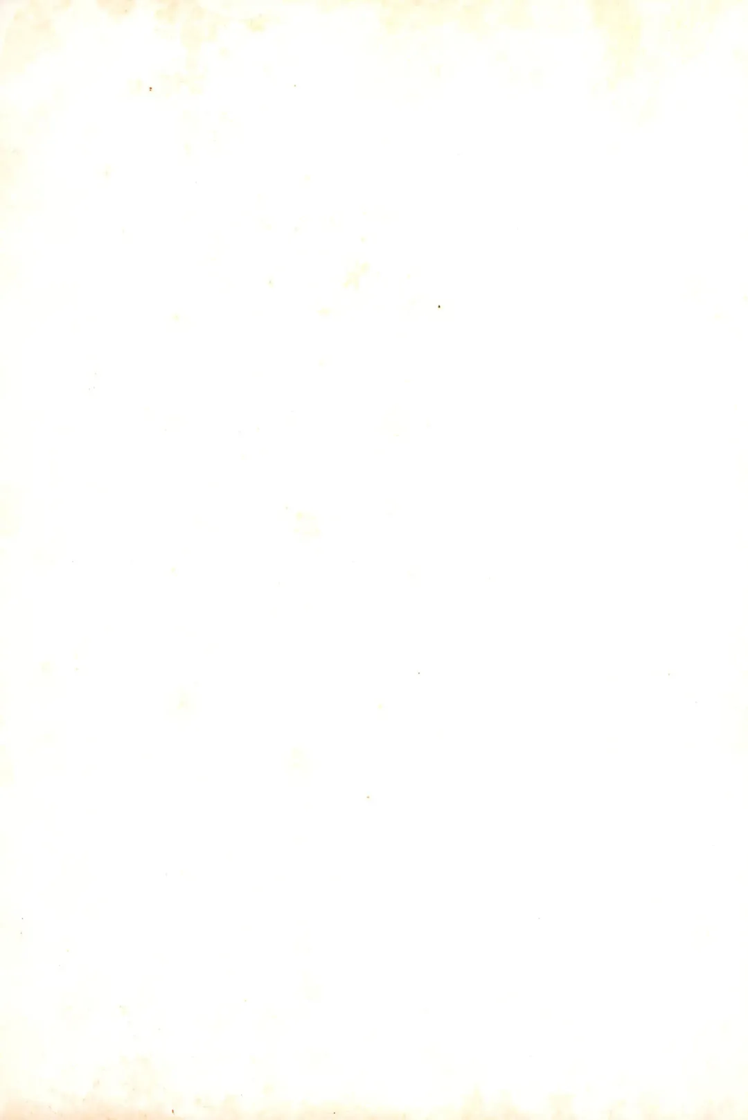 [Hikage Tetsuo - Mugendai - Teruki Kuma] Pocket Lolita Daizukan Fhentai - Page 91