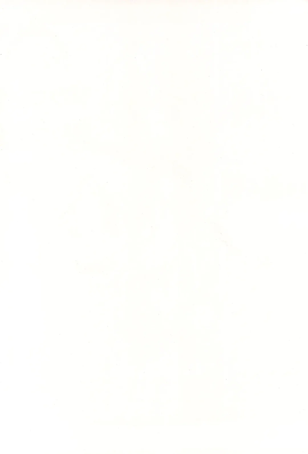 Licca Vignette x Reset Vignette Fhentai - Page 2