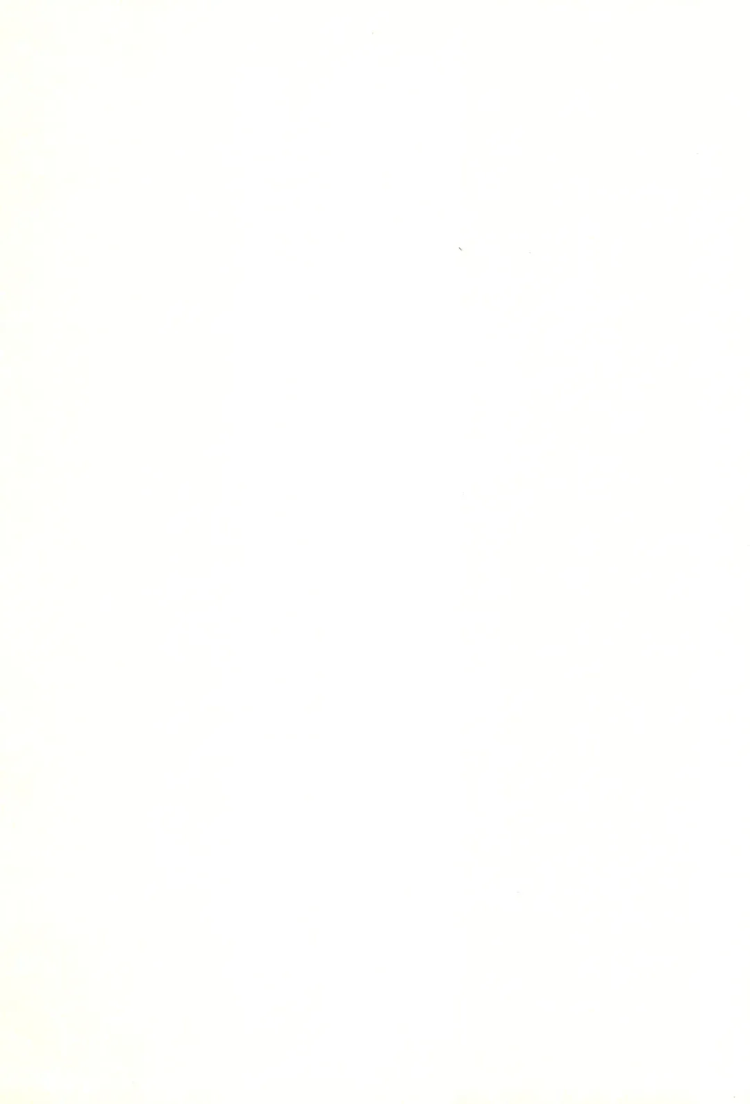 [Pedoya Nekohati - Saeki Takao] PTSD2 Fhentai - Page 19