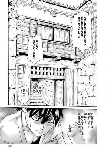 [Haruki] Araxa Ninpo-Cho Vol.6 Fhentai - Page 87