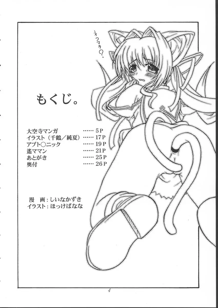 [Shiina Kazuki] Yaruman Fhentai - Page 3