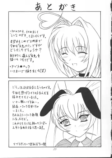 [Shiina Kazuki] Yaruman Fhentai - Page 24