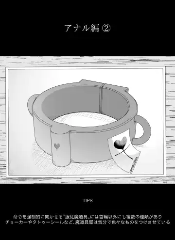 [Ikinuki.] Madougu-ya no Kyokubu Seme Choukyou Nisshi Fhentai - Page 68