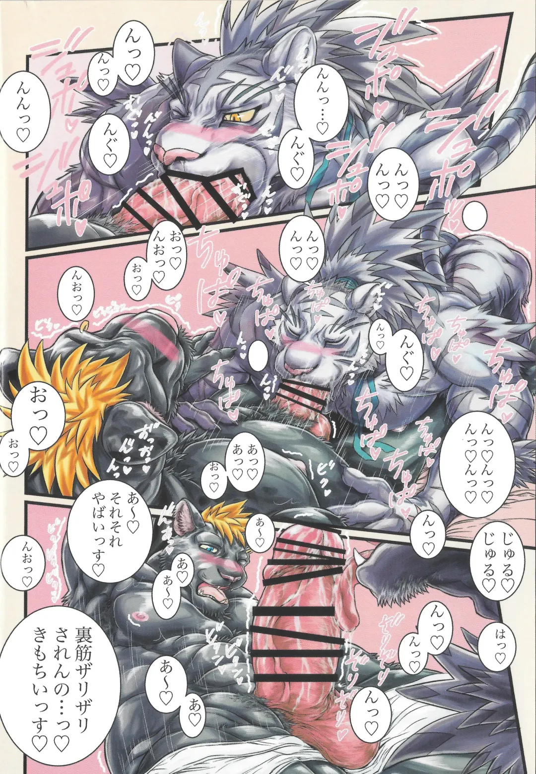 [Amd] ShiroKuro Tsukitai Otoshigoro Fhentai - Page 5