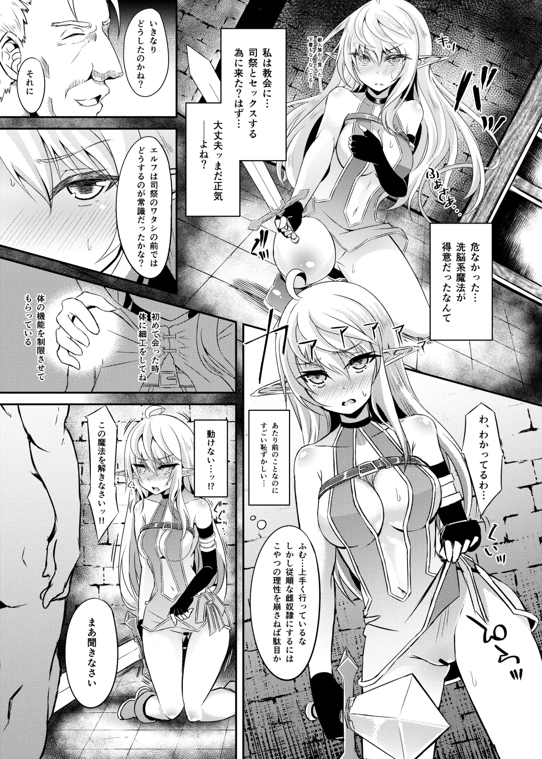 [Suisui] Toubou ELF3 Fhentai - Page 10
