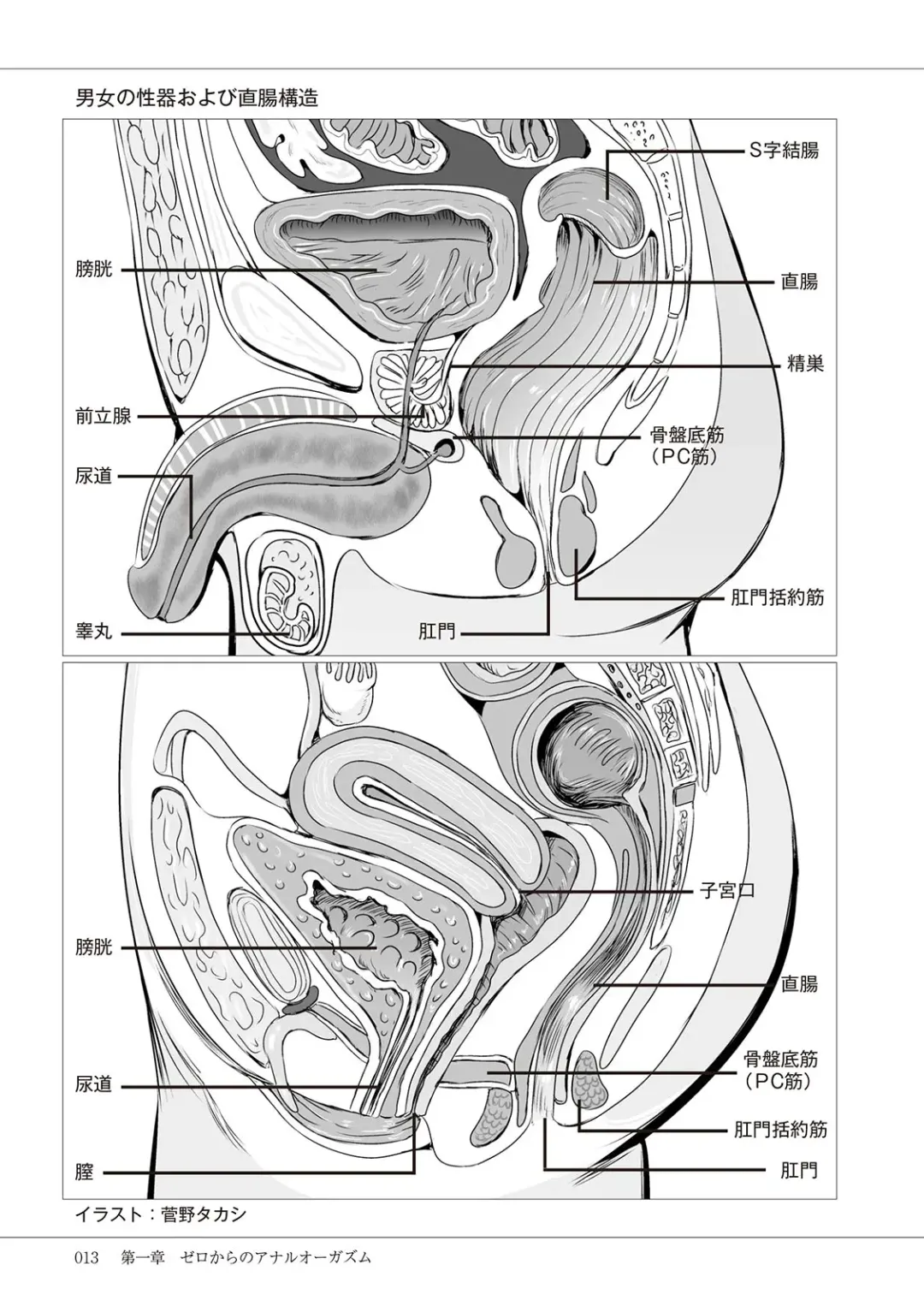 Kiso kara Manabu Anal Orgasm Fhentai - Page 15