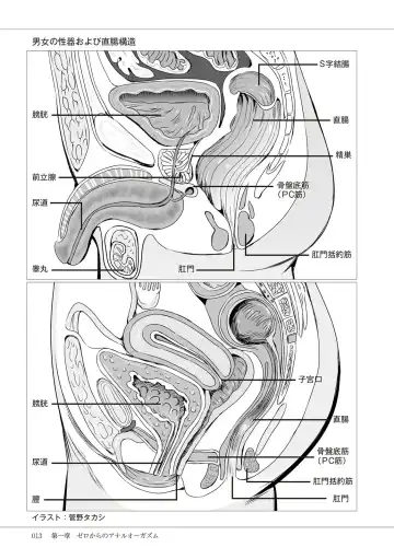 Kiso kara Manabu Anal Orgasm Fhentai - Page 15