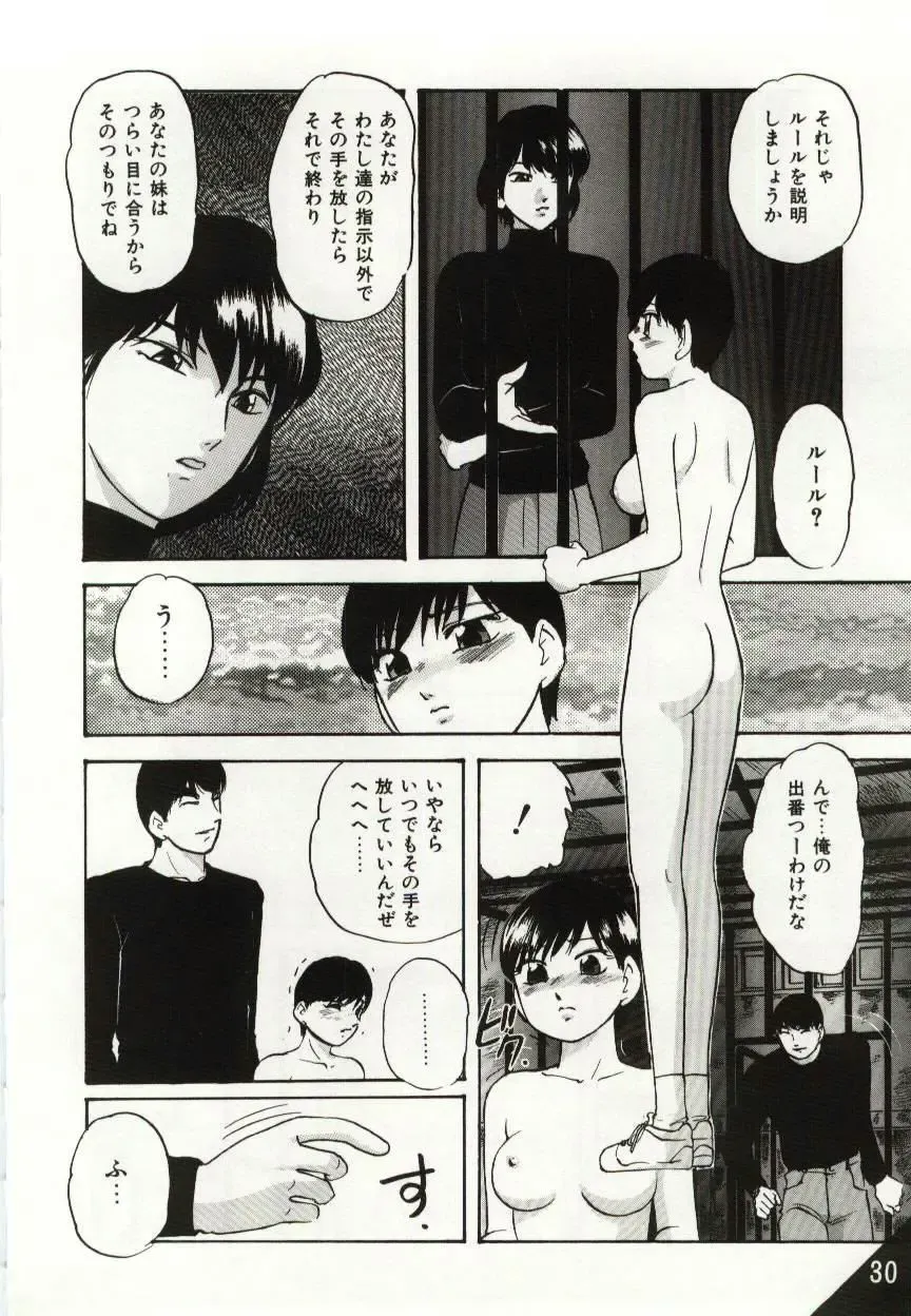 [Kazusa Shima] Kago no Naka no Kotori-tachi Fhentai - Page 30