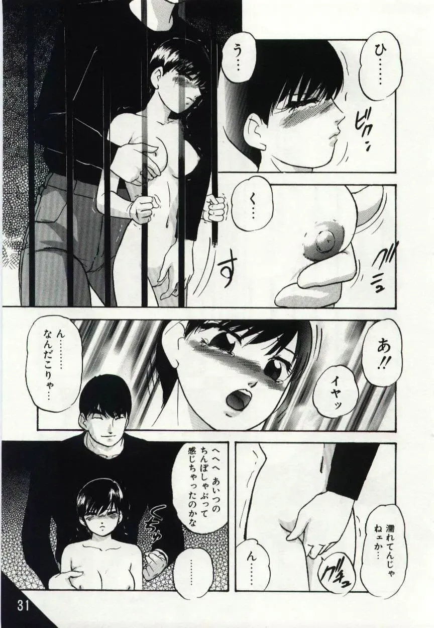 [Kazusa Shima] Kago no Naka no Kotori-tachi Fhentai - Page 31