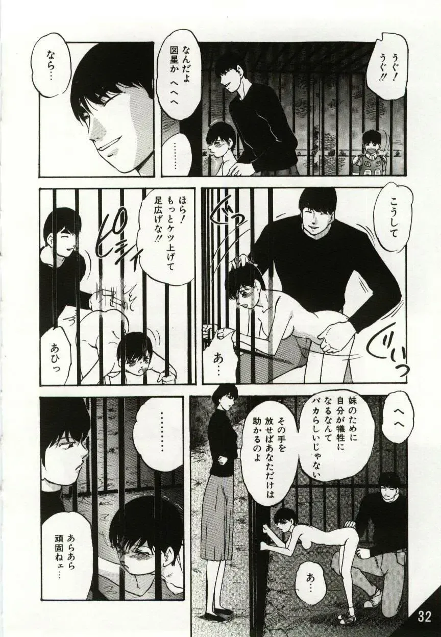 [Kazusa Shima] Kago no Naka no Kotori-tachi Fhentai - Page 32