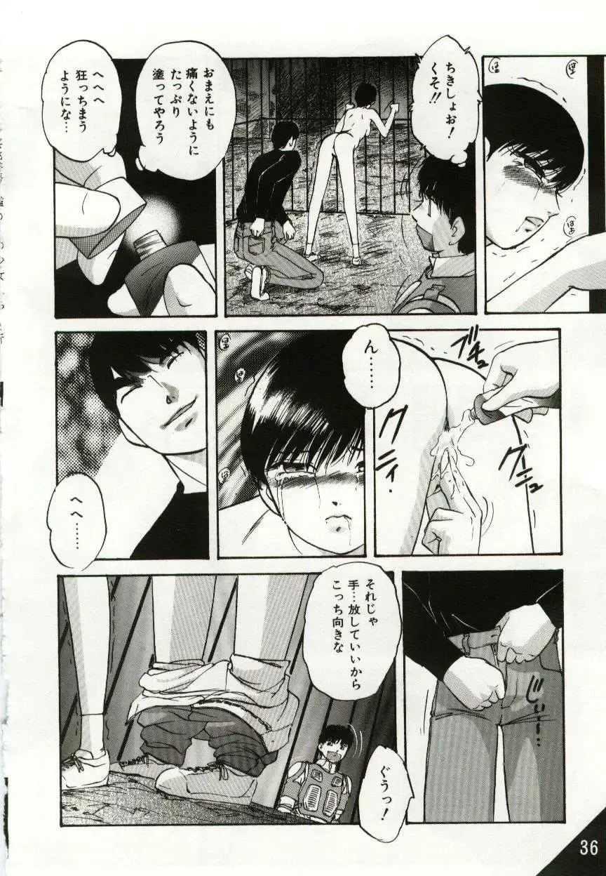 [Kazusa Shima] Kago no Naka no Kotori-tachi Fhentai - Page 36