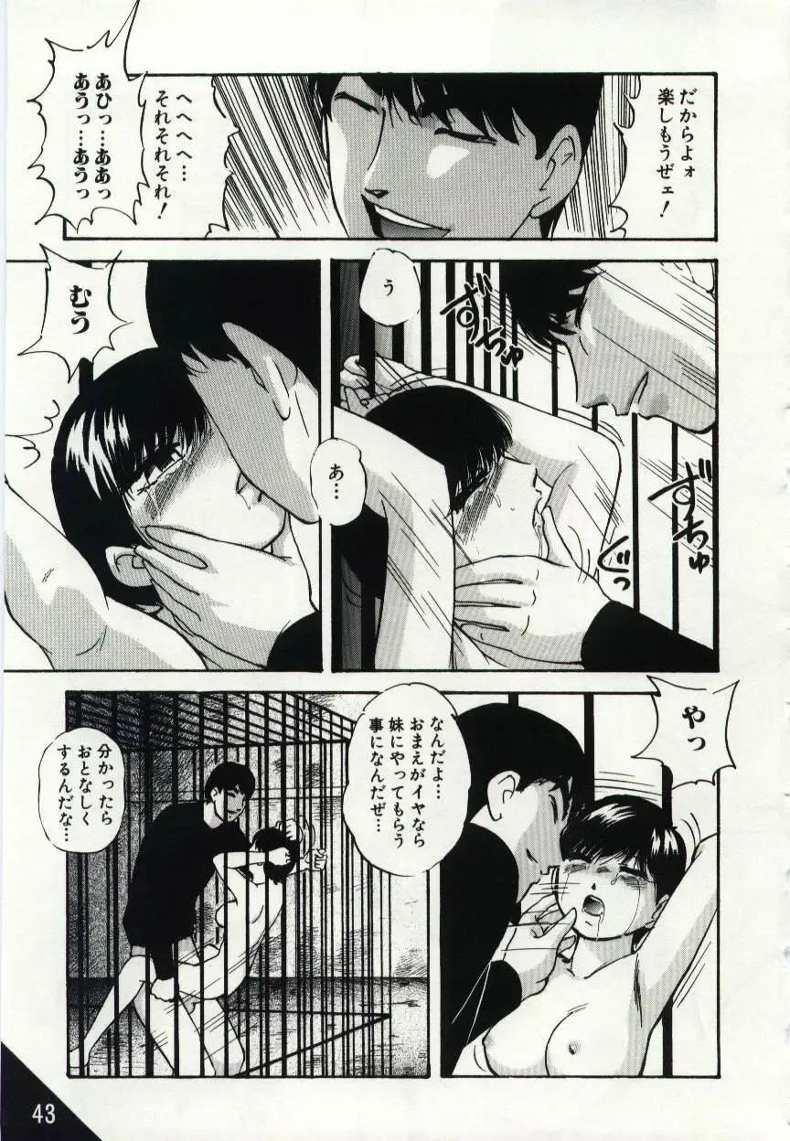 [Kazusa Shima] Kago no Naka no Kotori-tachi Fhentai - Page 43