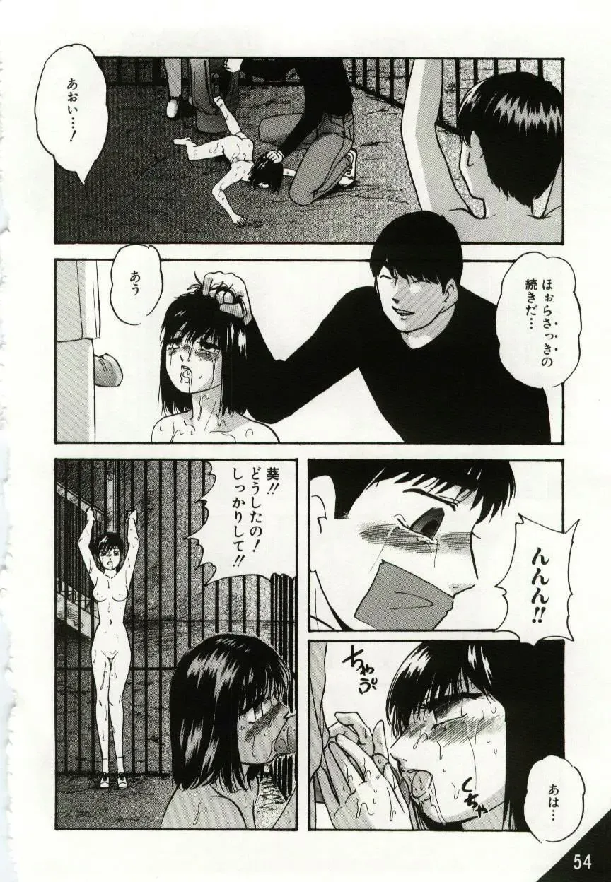 [Kazusa Shima] Kago no Naka no Kotori-tachi Fhentai - Page 54