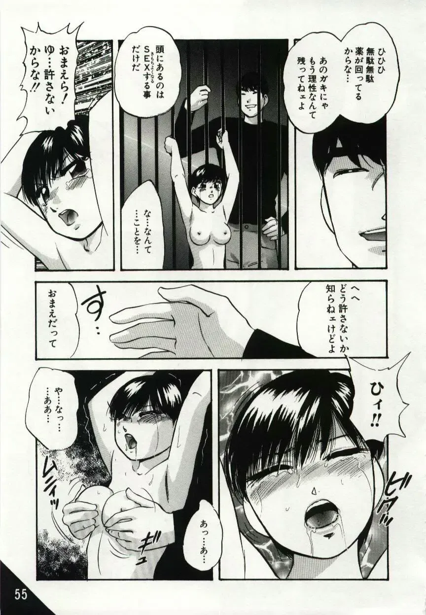 [Kazusa Shima] Kago no Naka no Kotori-tachi Fhentai - Page 55