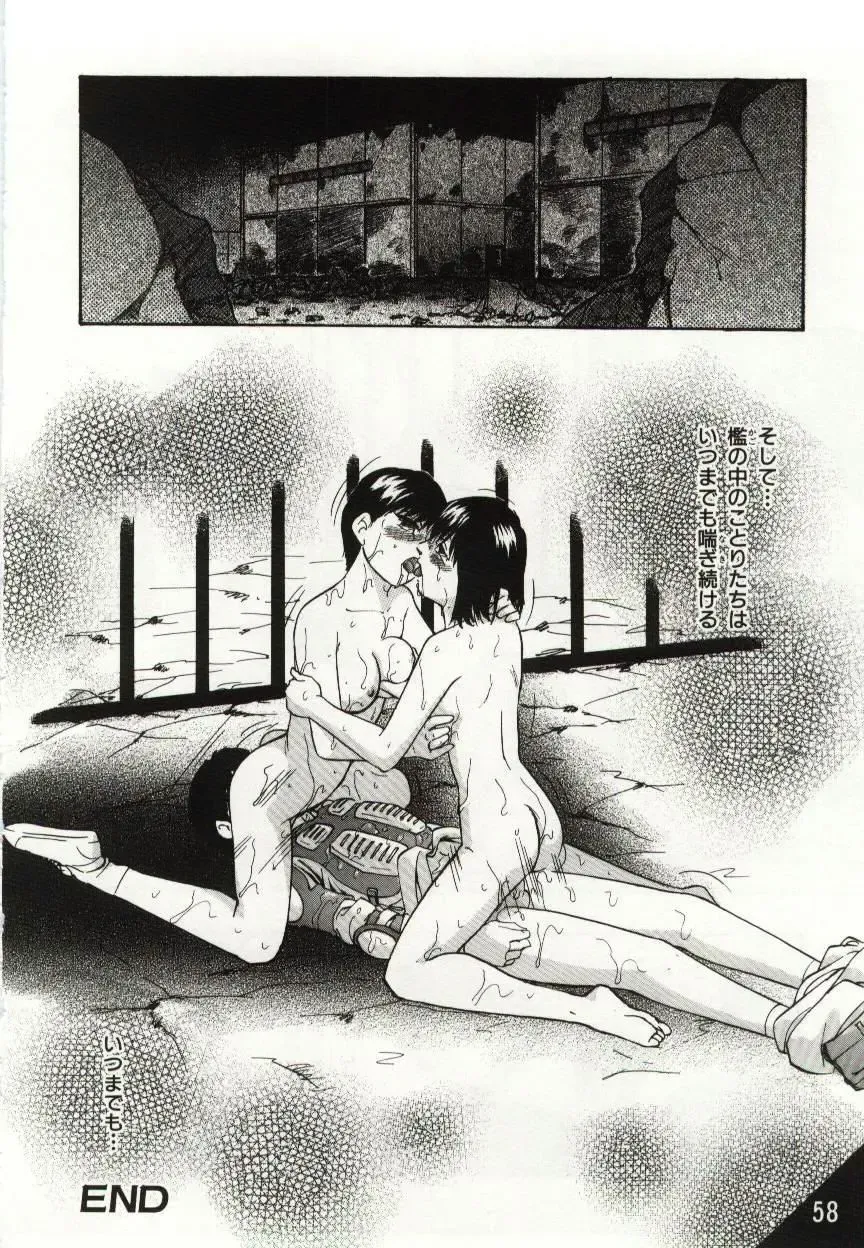 [Kazusa Shima] Kago no Naka no Kotori-tachi Fhentai - Page 58