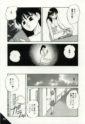 [Kazusa Shima] Kago no Naka no Kotori-tachi Fhentai - Page 63