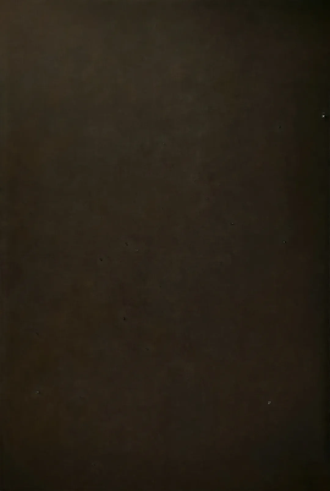 [Goshi] Taitou Aishi Fhentai - Page 24