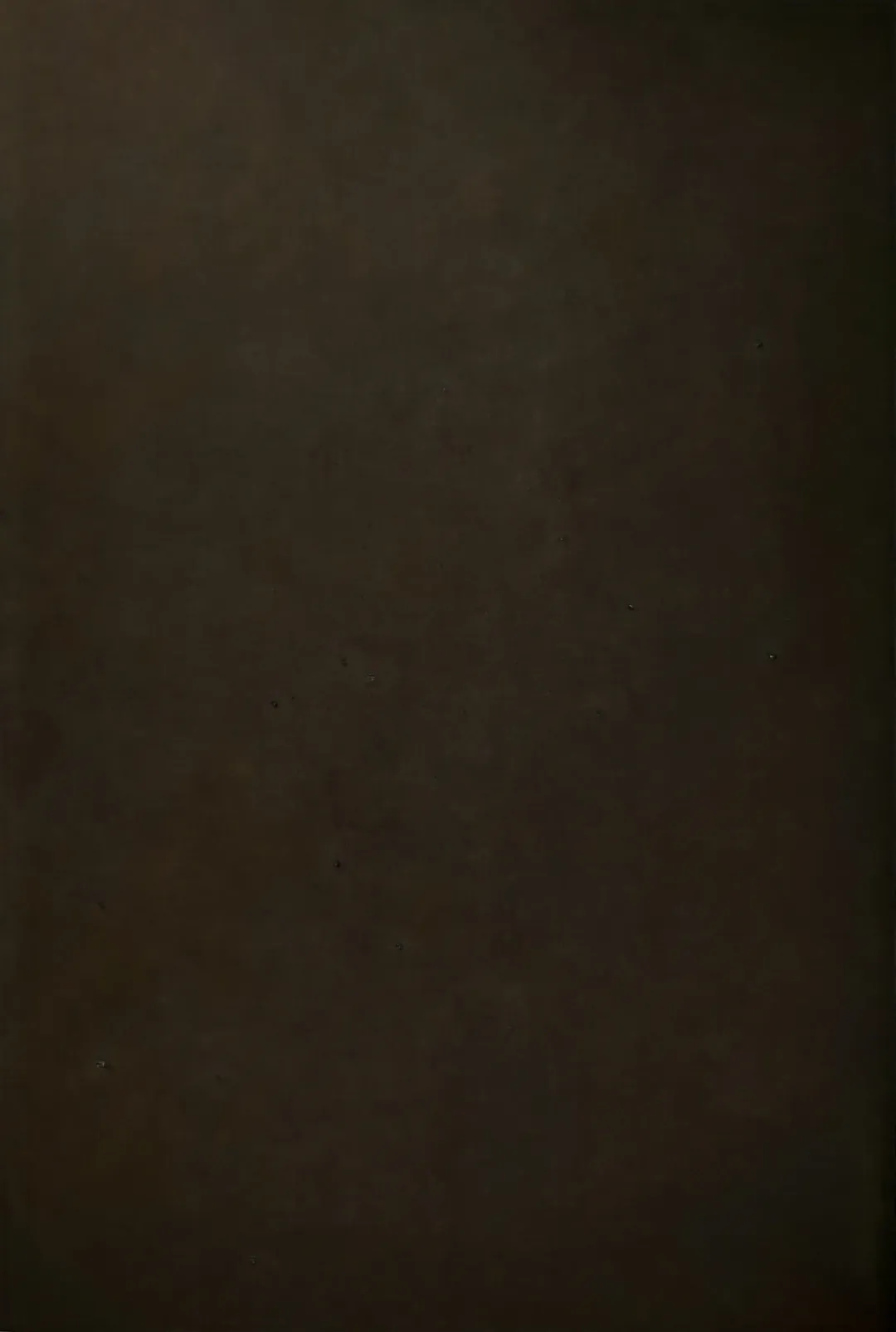 [Goshi] Taitou Aishi Fhentai - Page 87