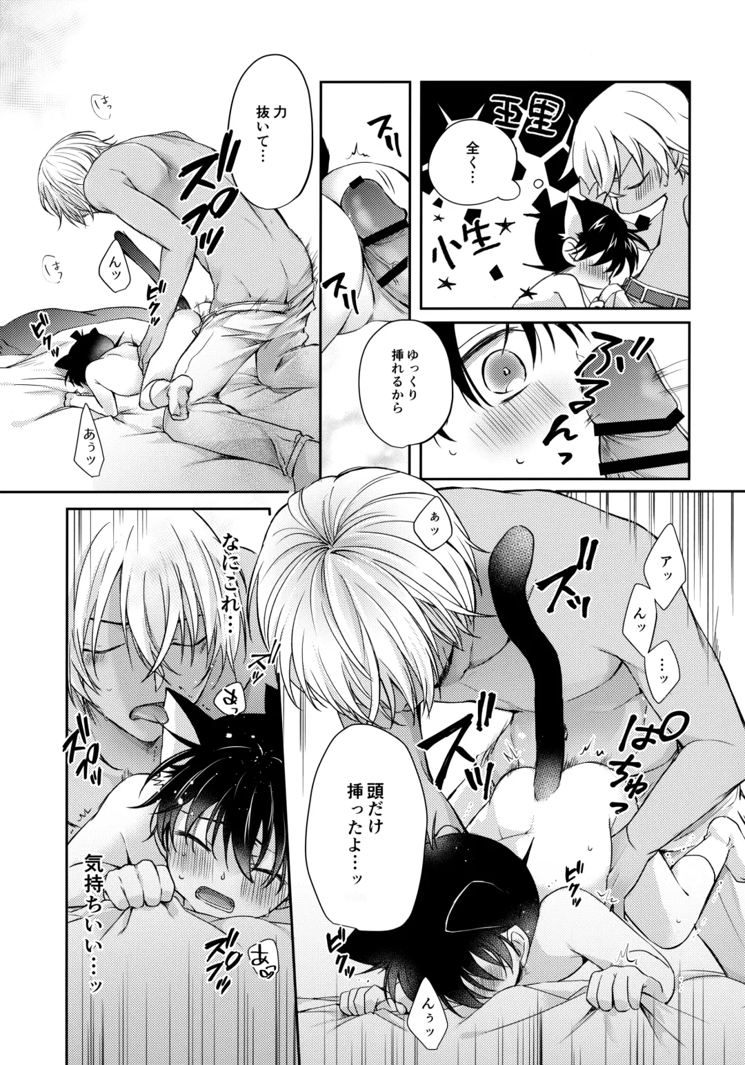 [Riu] Nekomimi Conan-kun ga Hatsujou Shimashita Fhentai - Page 26