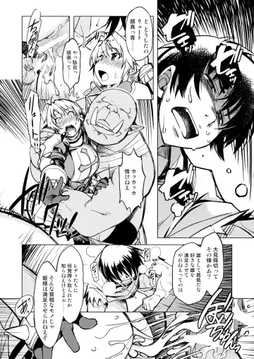 [Mil] Hime Kishi Tame 3 Fhentai - Page 13