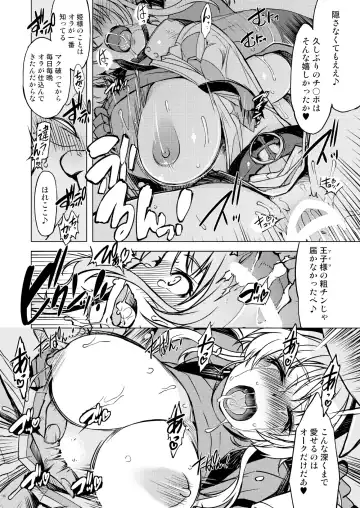 [Mil] Hime Kishi Tame 3 Fhentai - Page 15