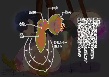 futanari majo no o yomesan sagashi 2 onaho yōsei no gyakushū Fhentai - Page 34