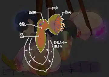 futanari majo no o yomesan sagashi 2 onaho yōsei no gyakushū Fhentai - Page 34