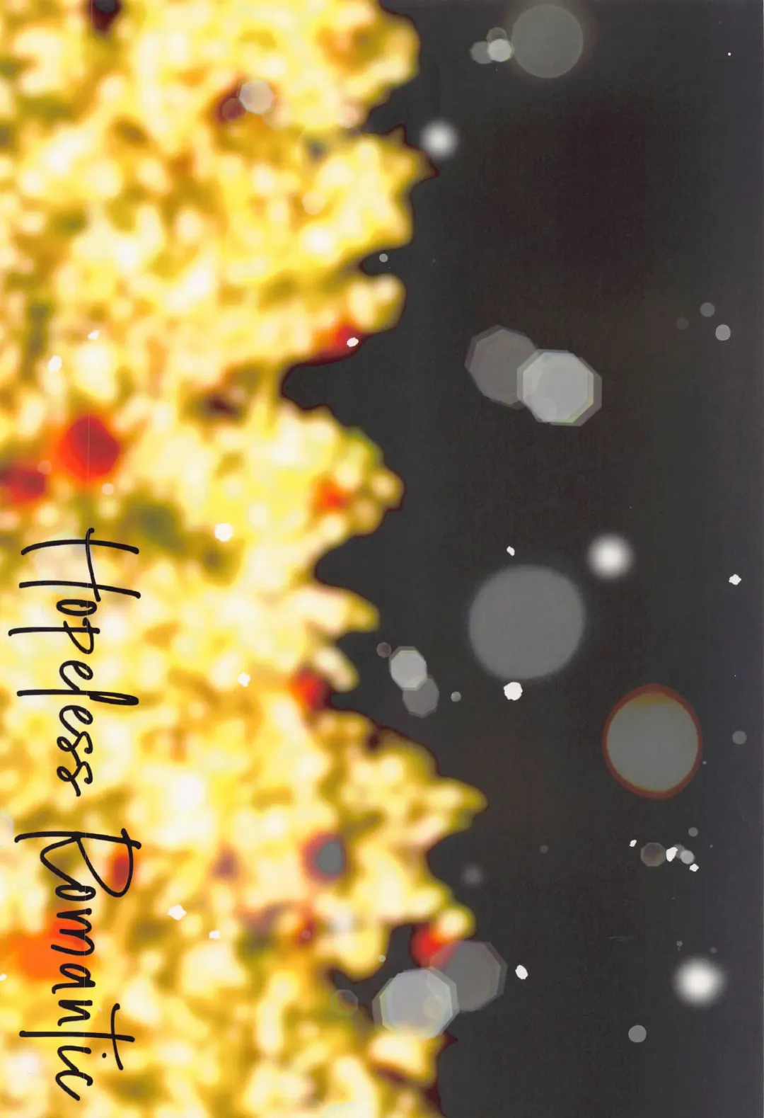 [Engawa] Hopeless Romantic Fhentai - Page 66