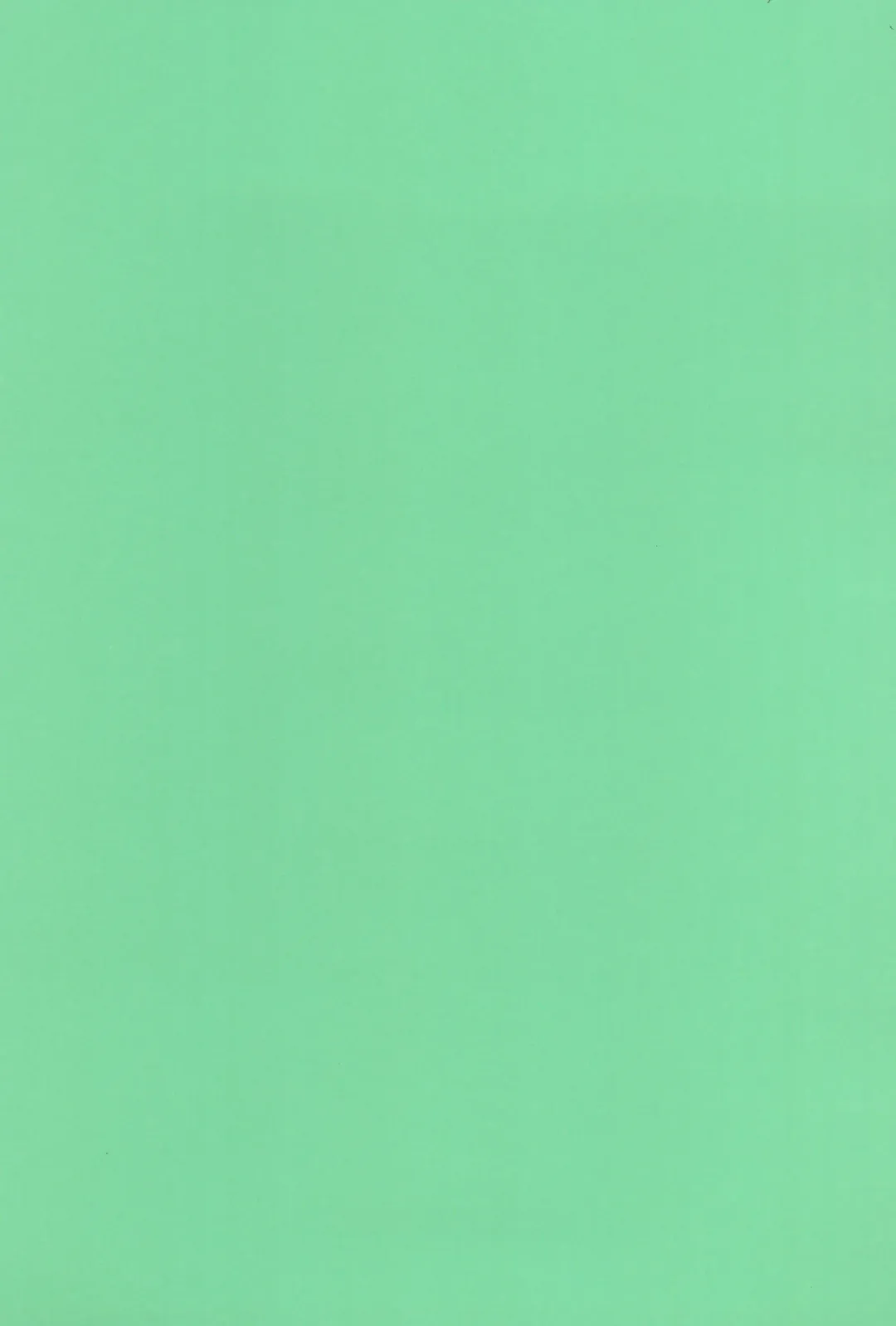 [Marui] Tate no Juusha de Tatenaoshi Fhentai - Page 3