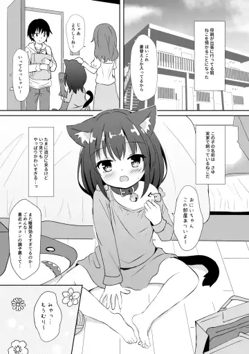 [Umi Suzume] Imouto Mitai na Neko - NEKO is like a little sister Fhentai - Page 4