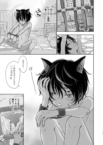 [Dousai] Boku, Isekai de Nekomimi Seidorei to Shite Tonari no Kuni made Tabi o Shitemasu. Fhentai - Page 11