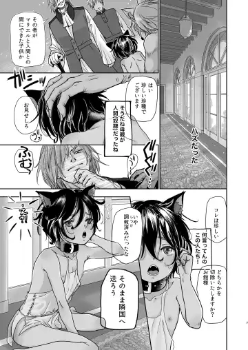 [Dousai] Boku, Isekai de Nekomimi Seidorei to Shite Tonari no Kuni made Tabi o Shitemasu. Fhentai - Page 7