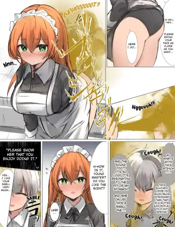 [Tsuchiro] Onara Manga - Maid to Bocchama Fhentai - Page 22