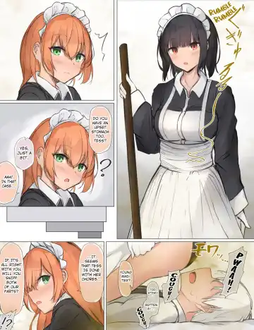 [Tsuchiro] Onara Manga - Maid to Bocchama Fhentai - Page 26