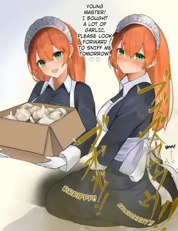 [Tsuchiro] Onara Manga - Maid to Bocchama Fhentai - Page 29