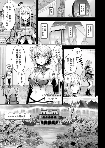 [Ninoko] Elf ni Inmon o Tsukeru Hon LEVEL:7 Fhentai - Page 20