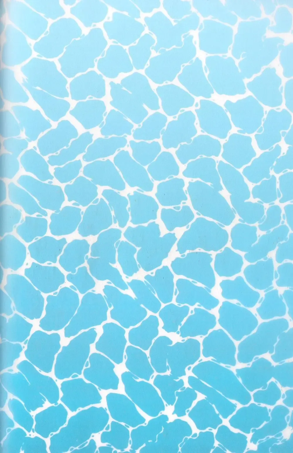 [Sarae] Kagehinata Sweet Let Loose Fhentai - Page 2