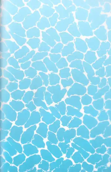 [Sarae] Kagehinata Sweet Let Loose Fhentai - Page 2