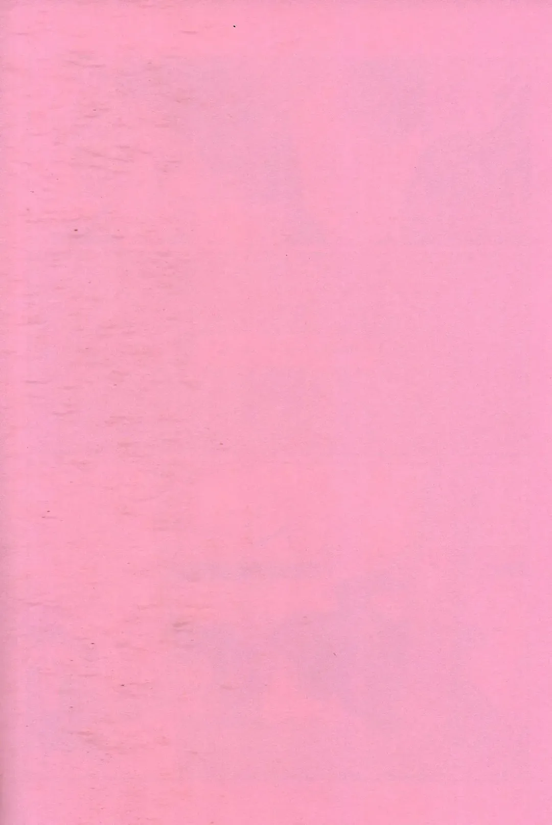 [Sarae] Immoralist Fhentai - Page 2