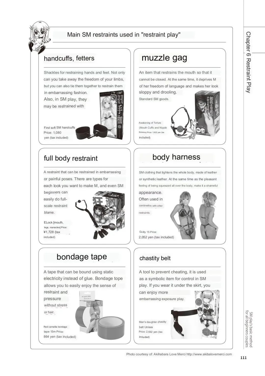 SM play manual Fhentai - Page 109