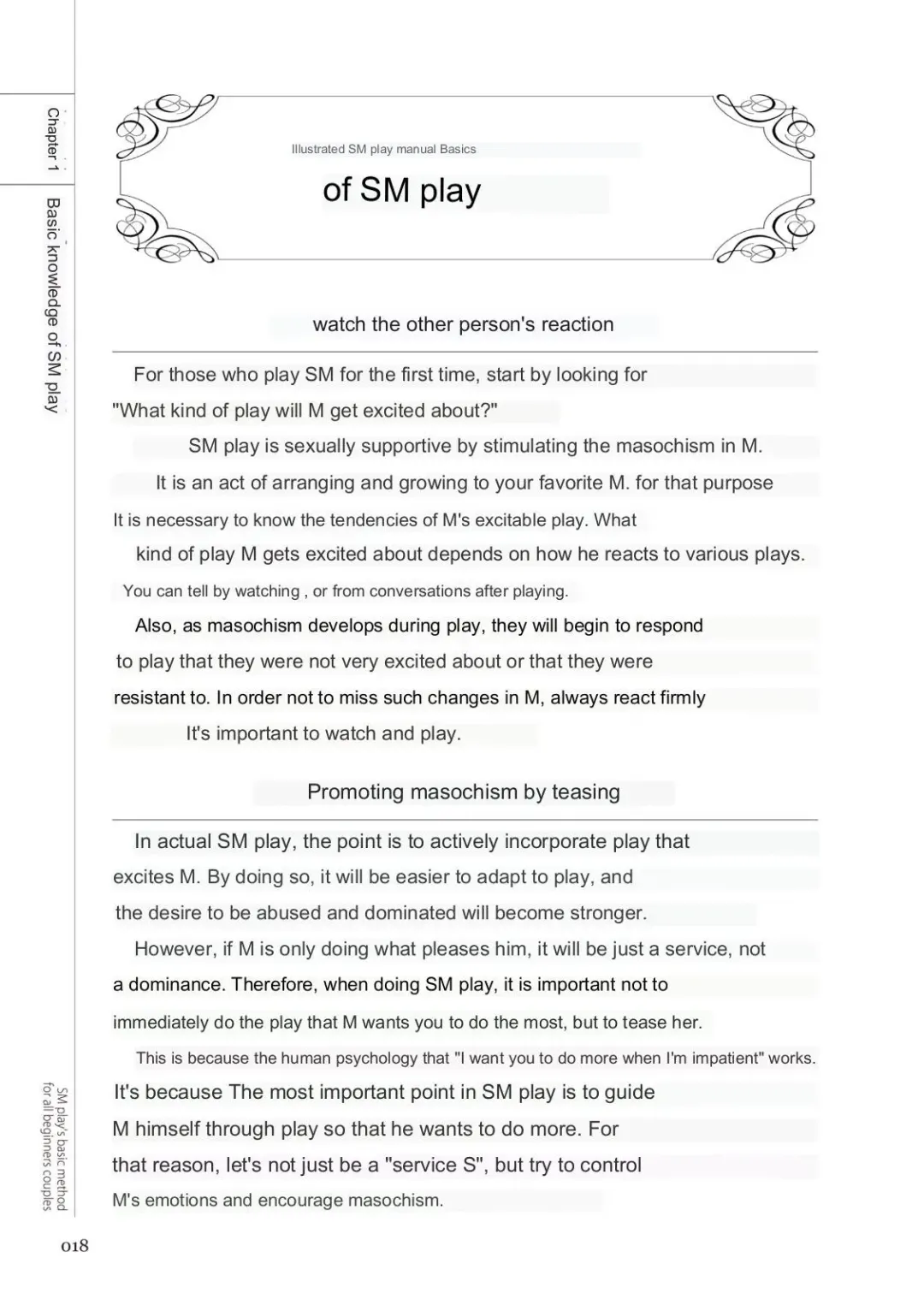 SM play manual Fhentai - Page 16