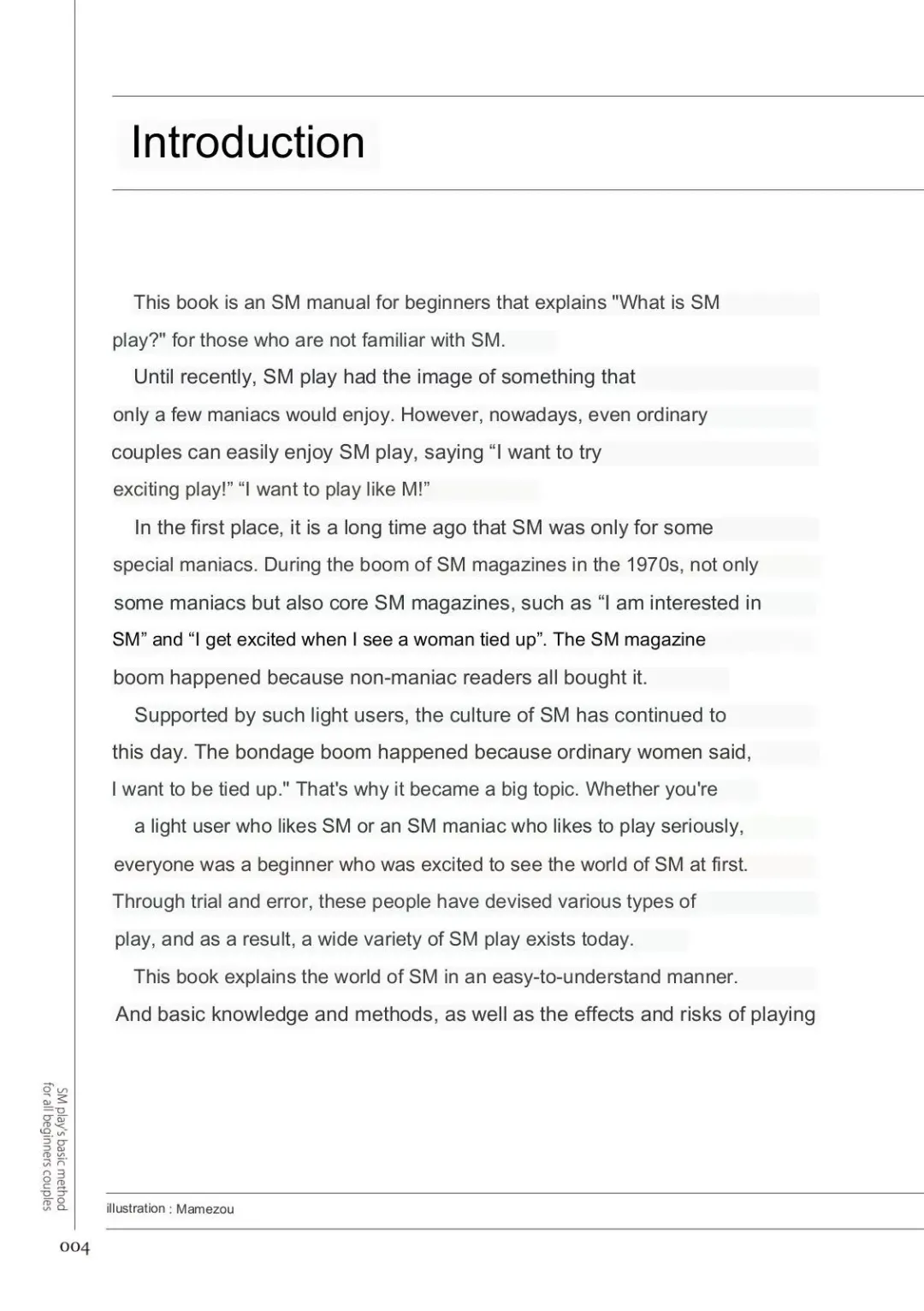 SM play manual Fhentai - Page 3