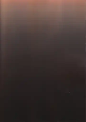 [Gyotoukotsu] Miko Gyaku Fhentai - Page 30