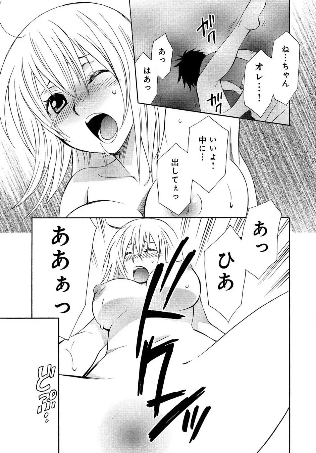 [Tatsuse Yumino] Ane no Nikumitsu Fhentai - Page 20