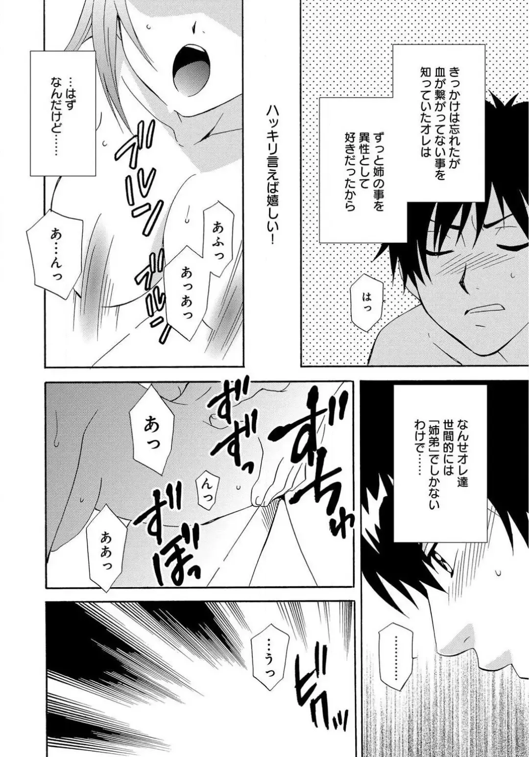 [Tatsuse Yumino] Ane no Nikumitsu Fhentai - Page 24