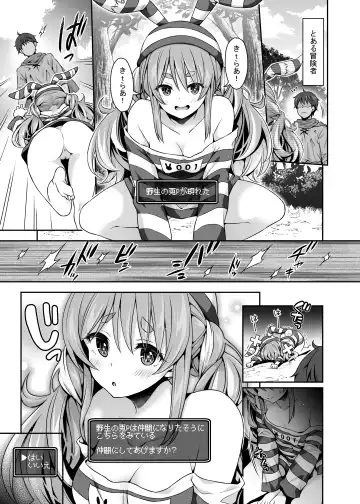 [Hachigo] Yasei no Usagi ga Nakama ni Naritasou ni Kochira wo Miteiru Fhentai - Page 3